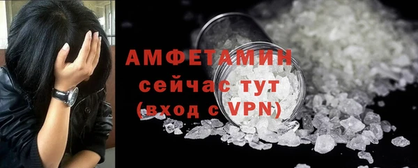 стаф Богородск