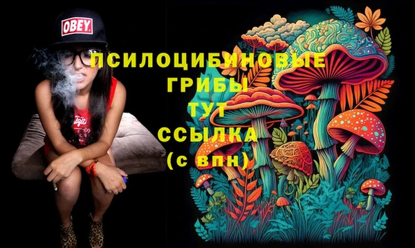 кристаллы Богданович