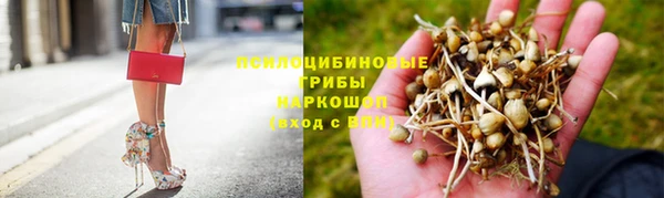 гашик Богородицк