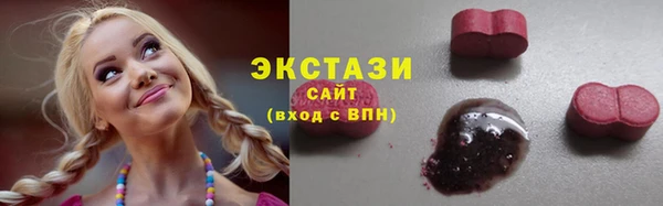 гашик Богородицк