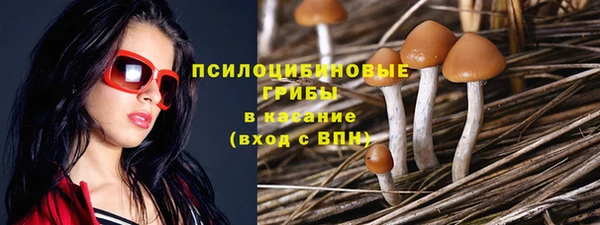 гашик Богородицк