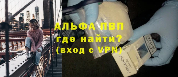 стаф Богородск