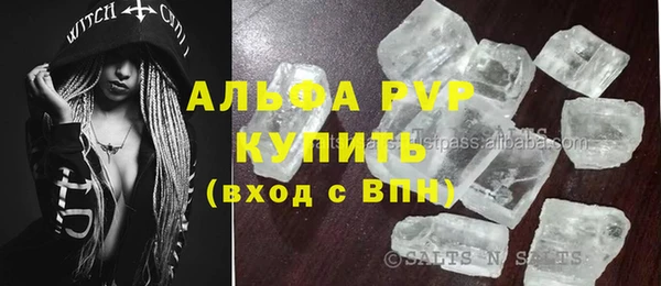 стаф Богородск