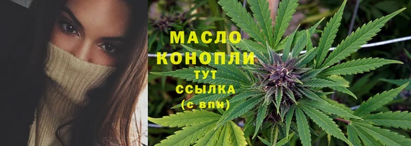 стаф Богородск