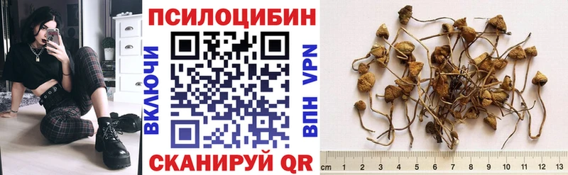 Псилоцибиновые грибы Psilocybine cubensis  сколько стоит  Барабинск 